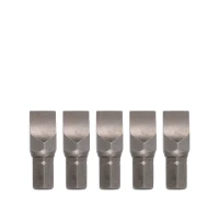 Bit 5/16" Schlitz 30mm 8mm 5-tlg.