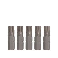 Bit 5/16" TX 30mm T30 5-tlg.