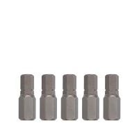 Bit Innensechskant 10mm 30mm 6mm 5-tlg.