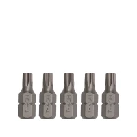 Bit TX 10mm 30mm T40H 5-tlg.