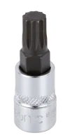 Biteinsatz 1/4" Vielzahn M6