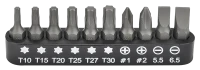 Bitsatz 1/4" 10-tlg.